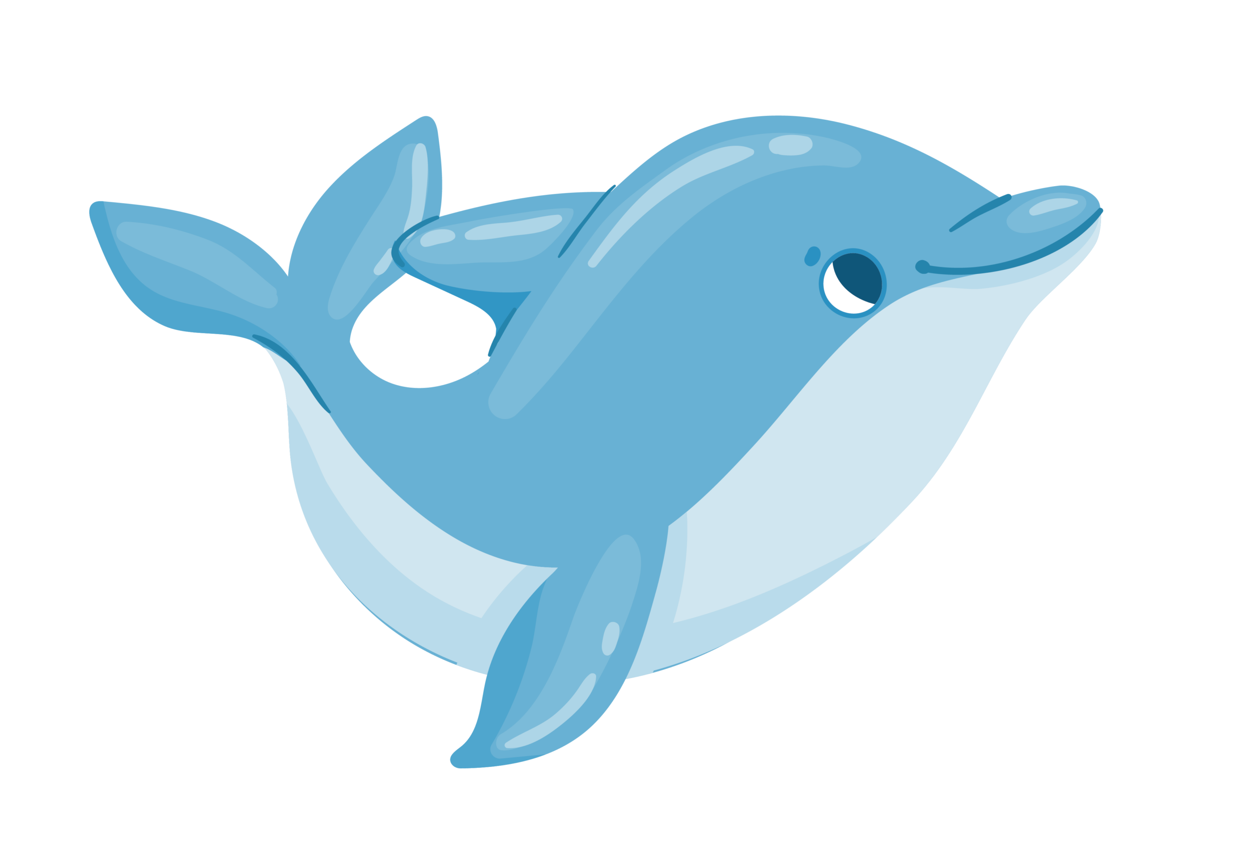 dolphins-01