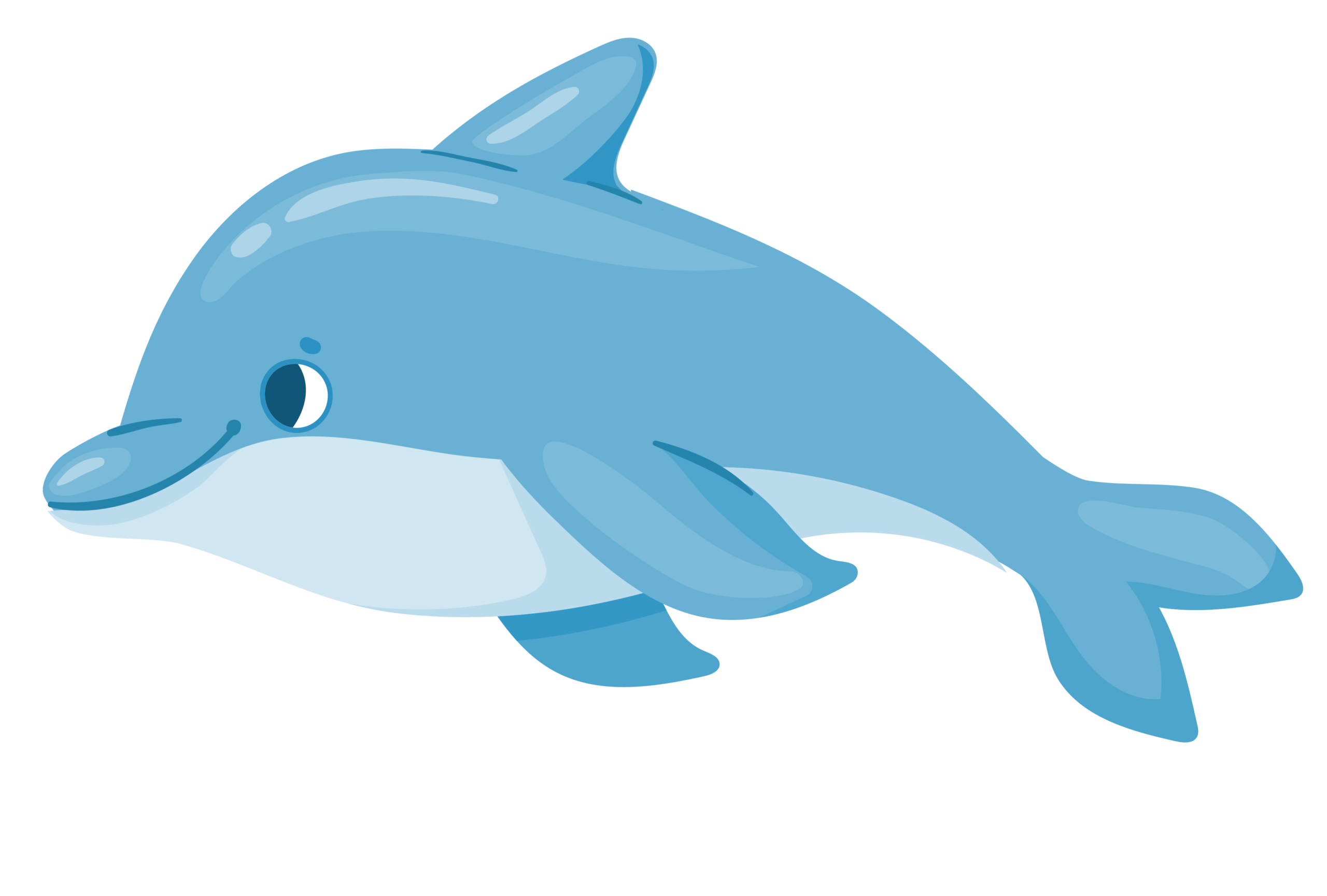 dolphins-02