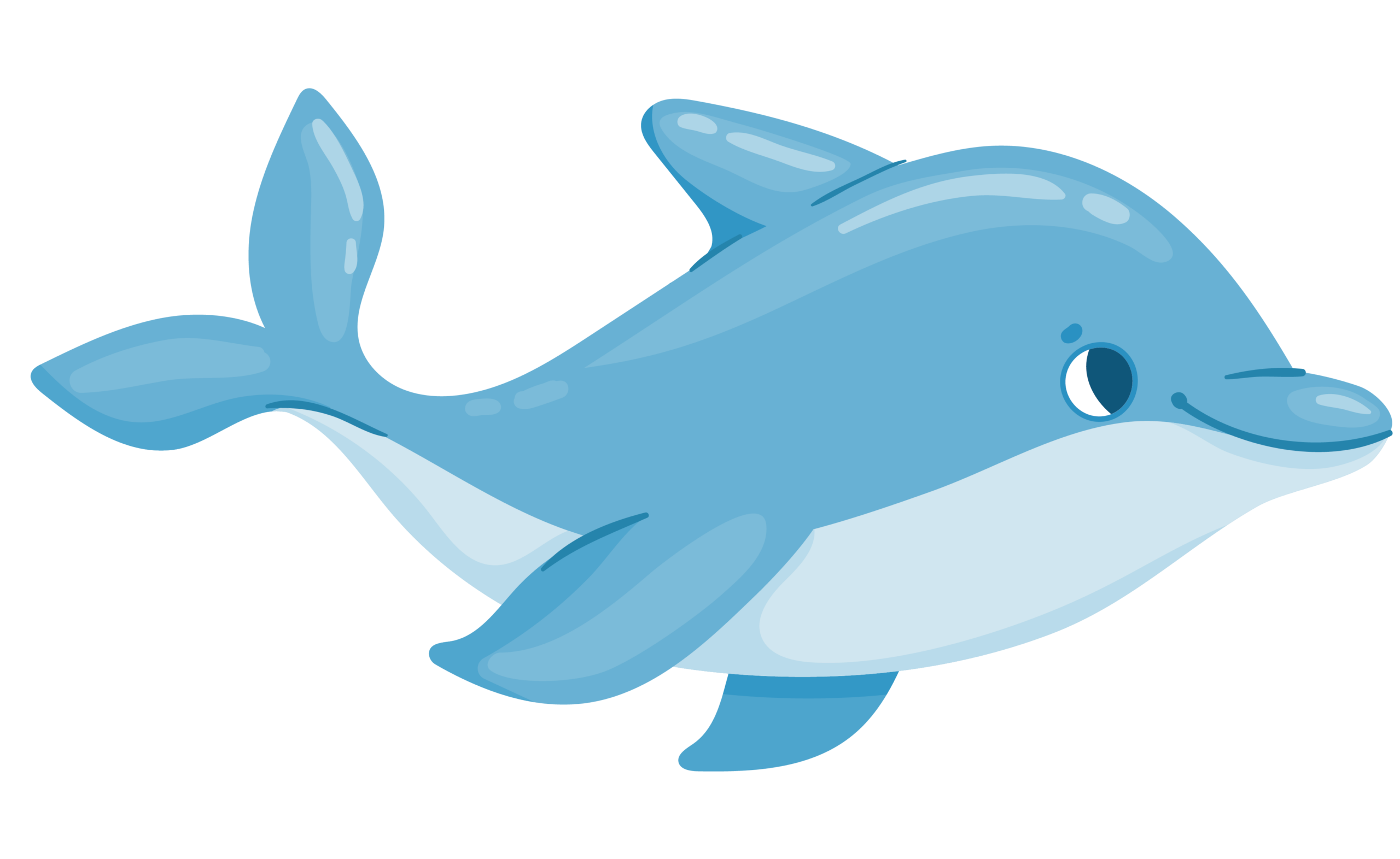dolphins-03