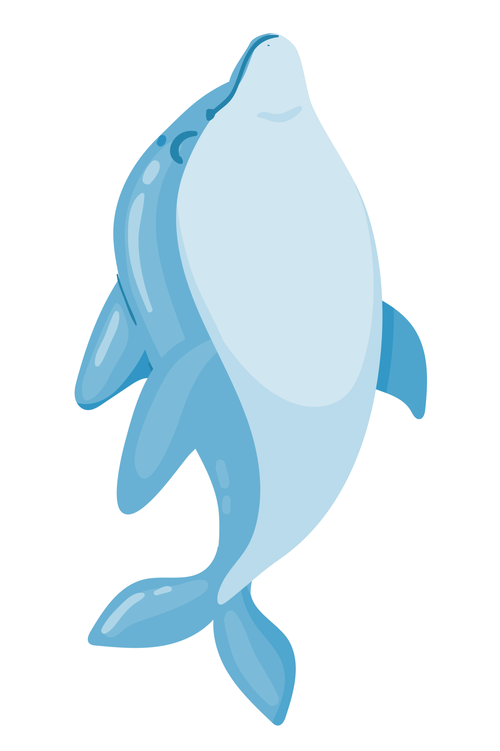 dolphins-05