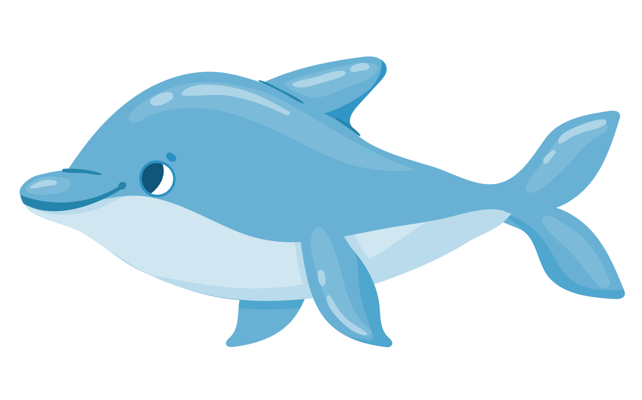 dolphins-07